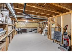 Unfinished storage room in the basement -