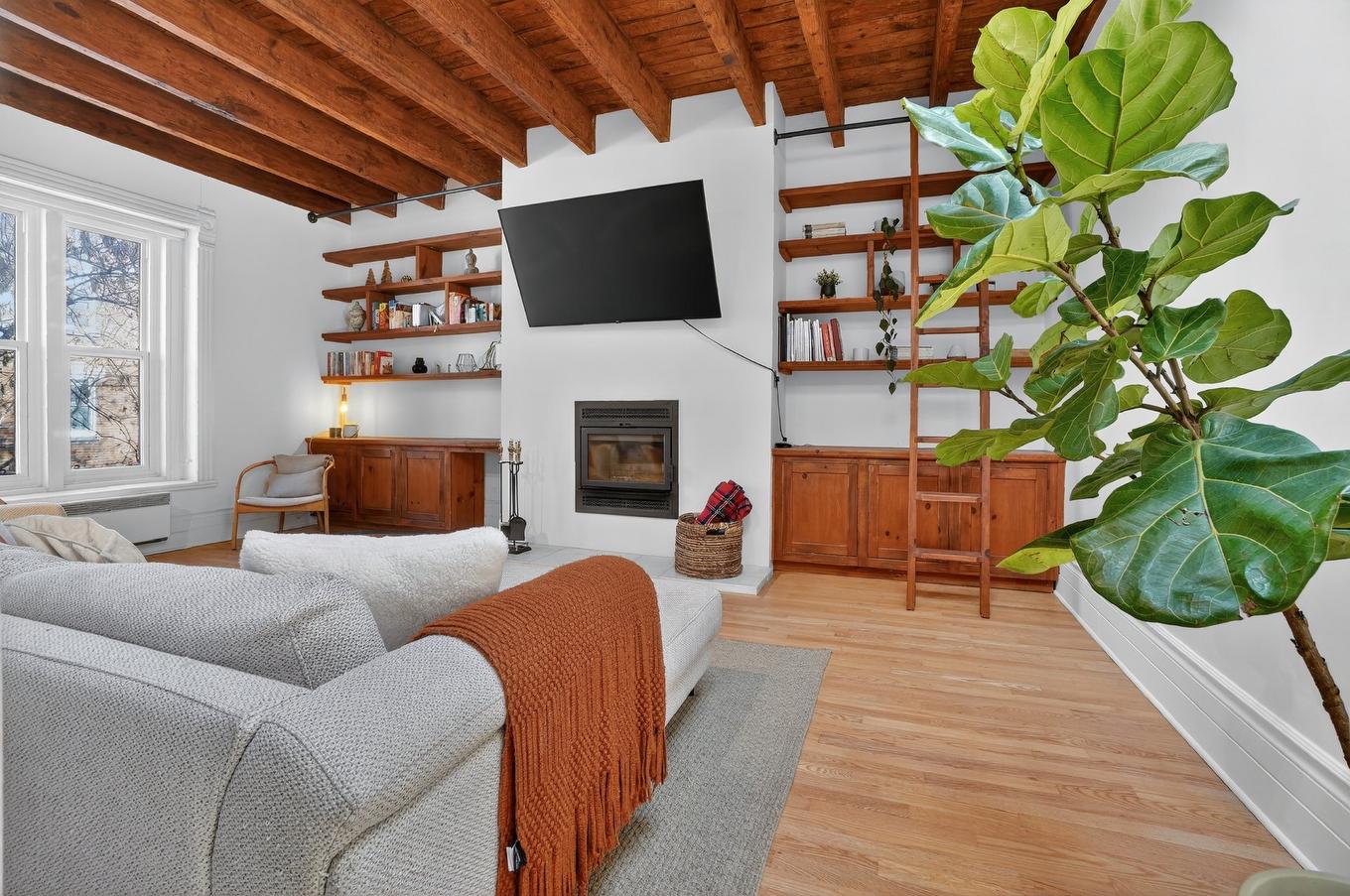 Salon - 3954 Rue De Mentana, Montréal (Le Plateau-Mont-Royal), QC - Indoor Photo Showing Living Room With Fireplace