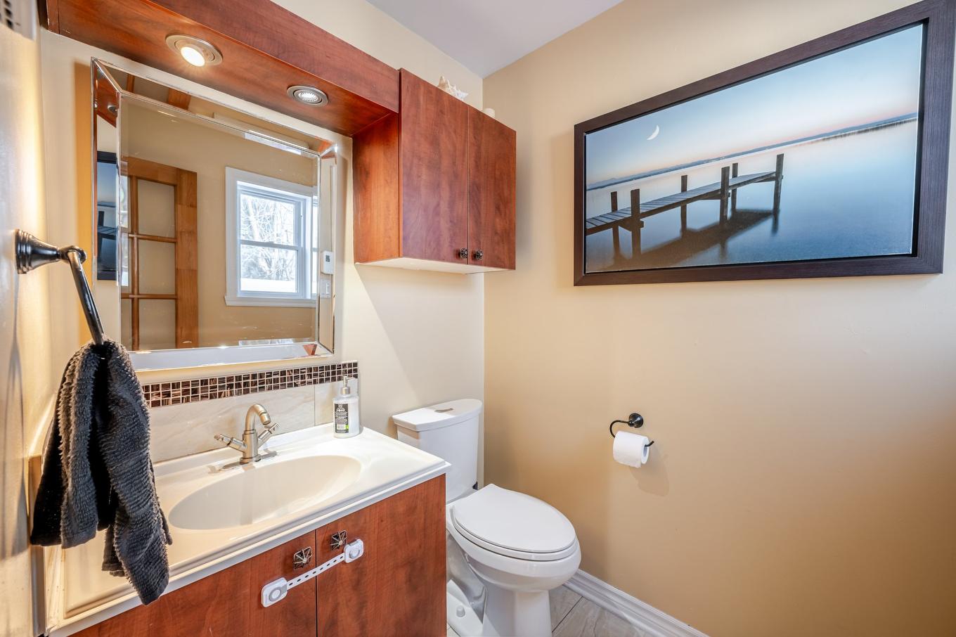 Salle d'eau - 5730 Av. Albanie, Brossard, QC - Indoor Photo Showing Bathroom