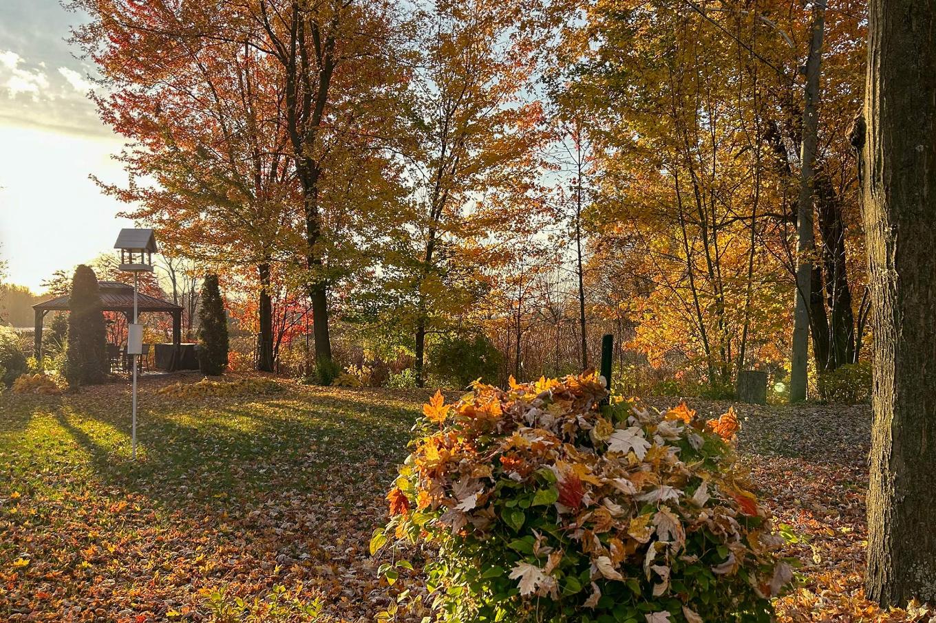 Backyard - 1460 Rue Sheridan, Saint-Jean-Sur-Richelieu, QC - Outdoor