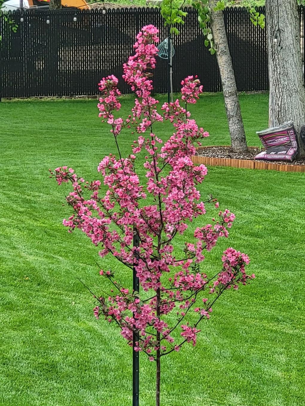 Other - 18 Rue De Champlain, Saint-André-D'Argenteuil, QC - Outdoor