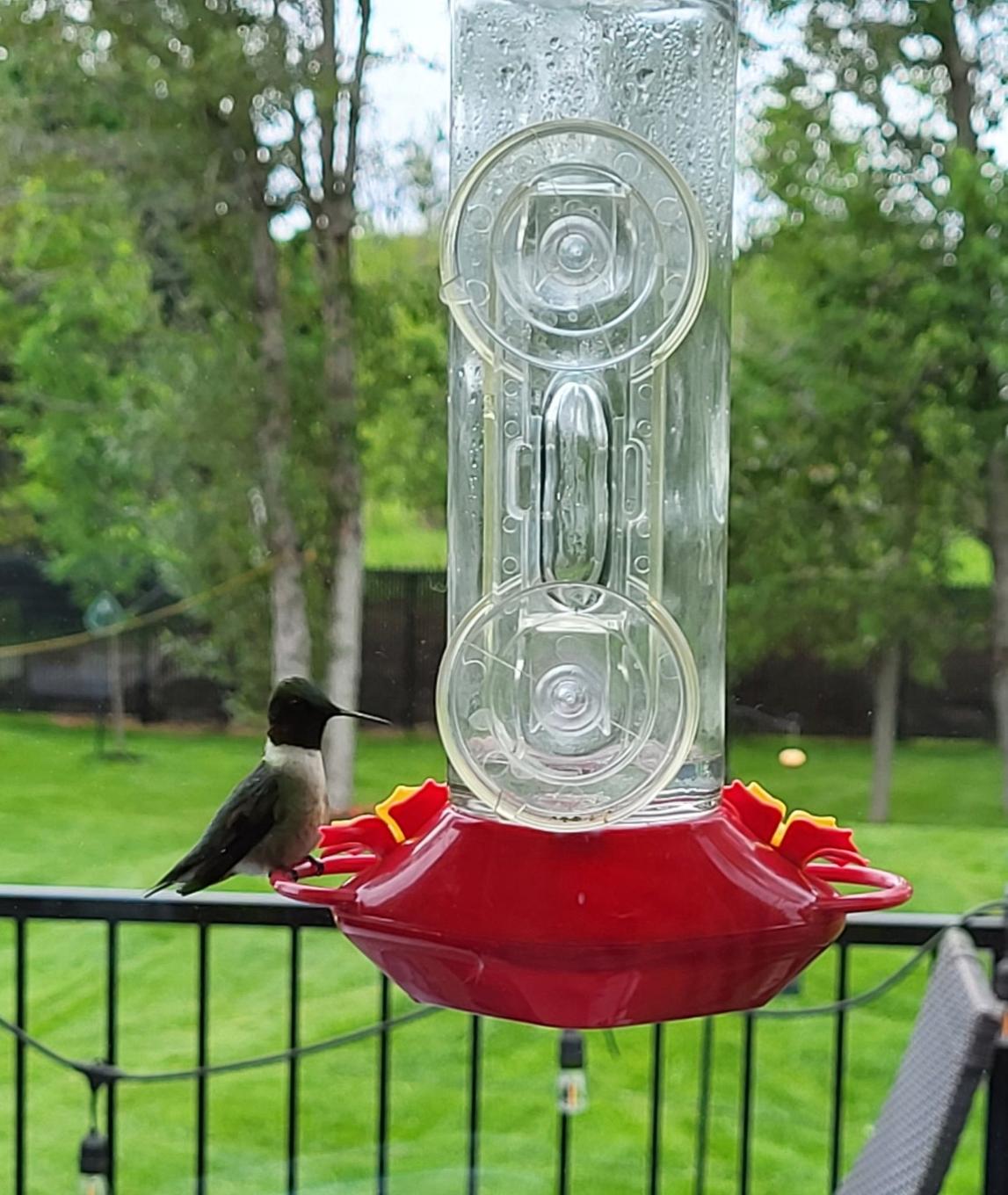 Other - 18 Rue De Champlain, Saint-André-D'Argenteuil, QC - Outdoor