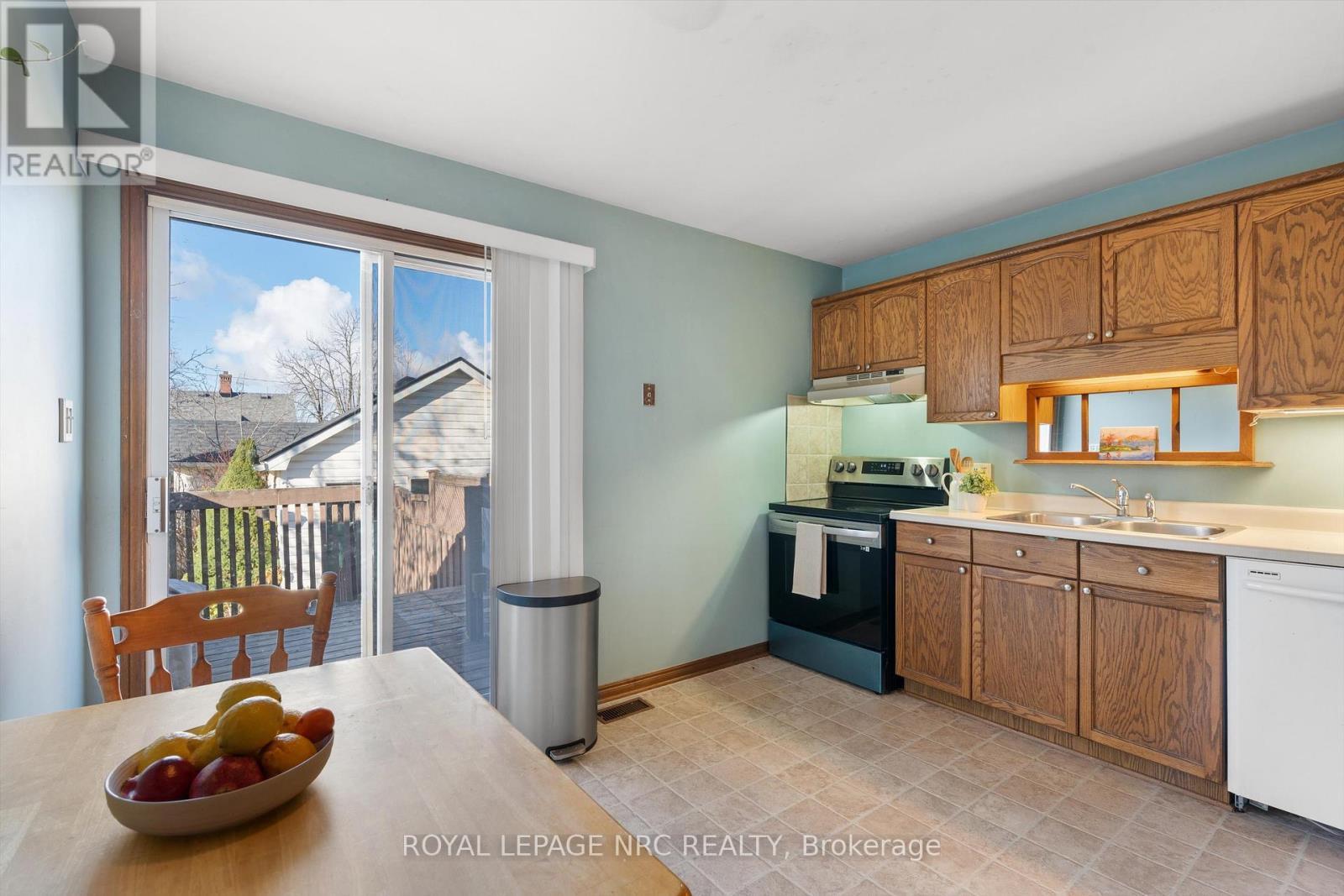 163 Pine Street S, Thorold (Thorold Downtown), ON - Indoor Photo Showing Kitchen With Double Sink