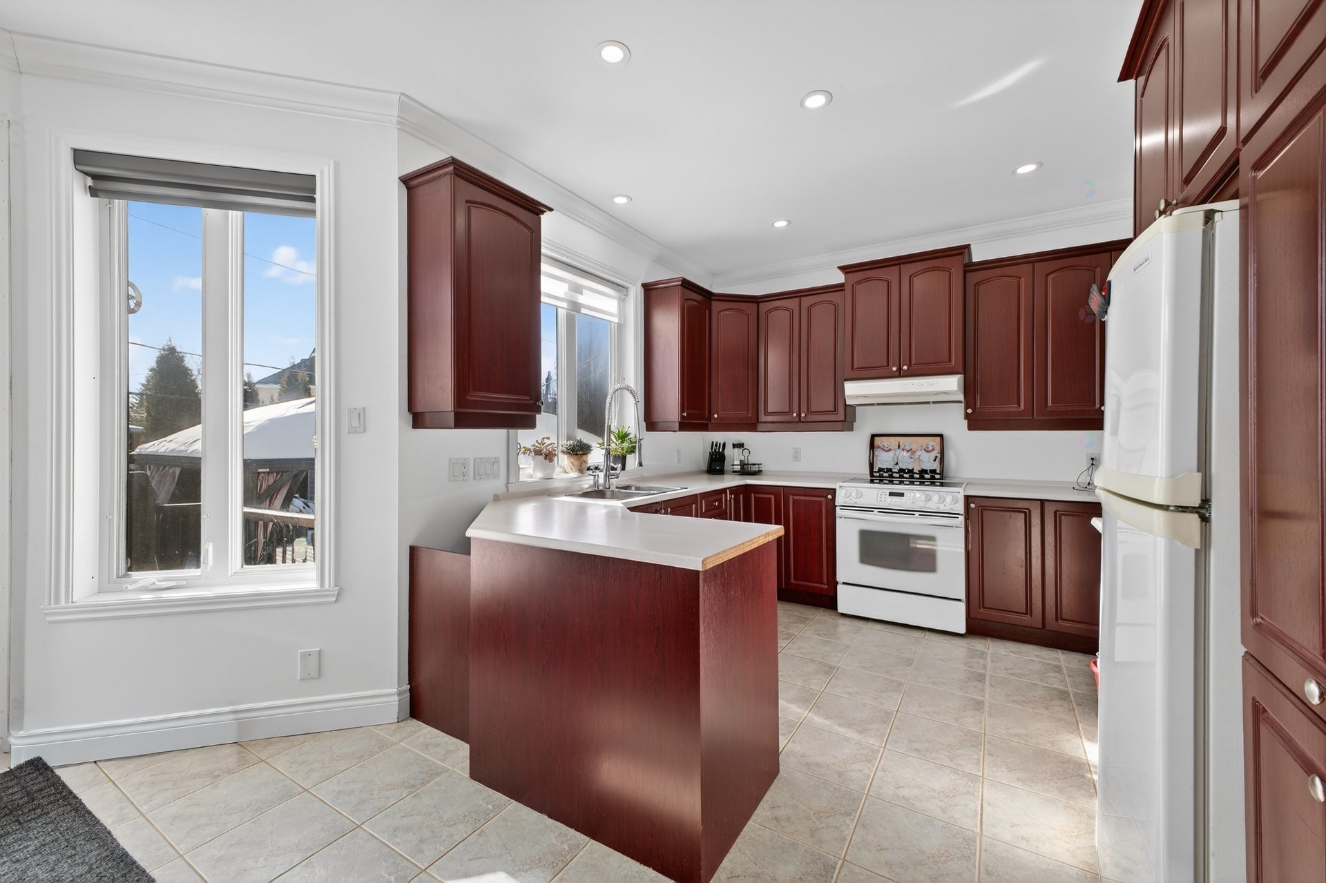 Cuisine - 107 Rue Thibert, Saint-Constant, QC - Indoor Photo Showing Kitchen With Double Sink
