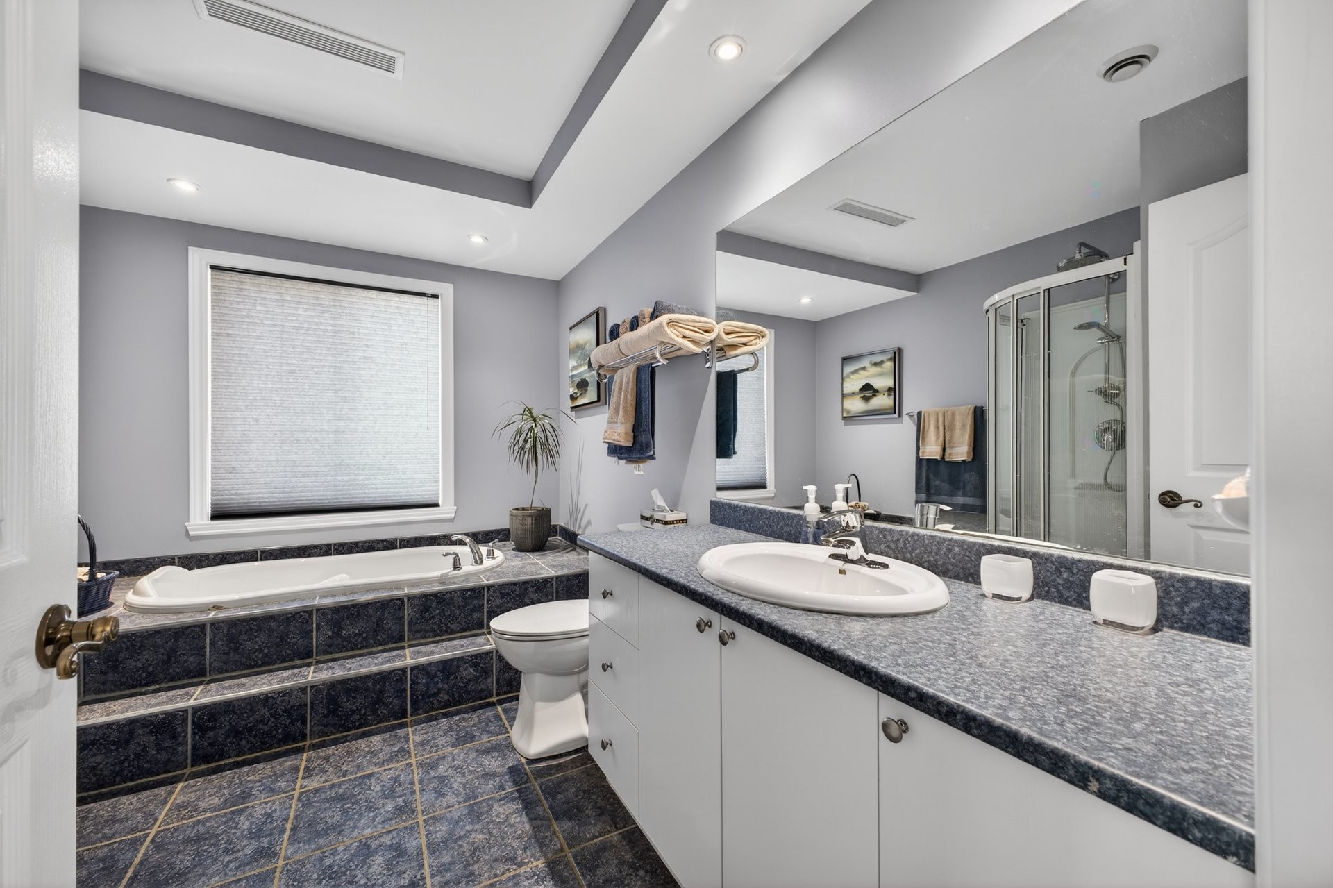 Salle de bains - 107 Rue Thibert, Saint-Constant, QC - Indoor Photo Showing Bathroom