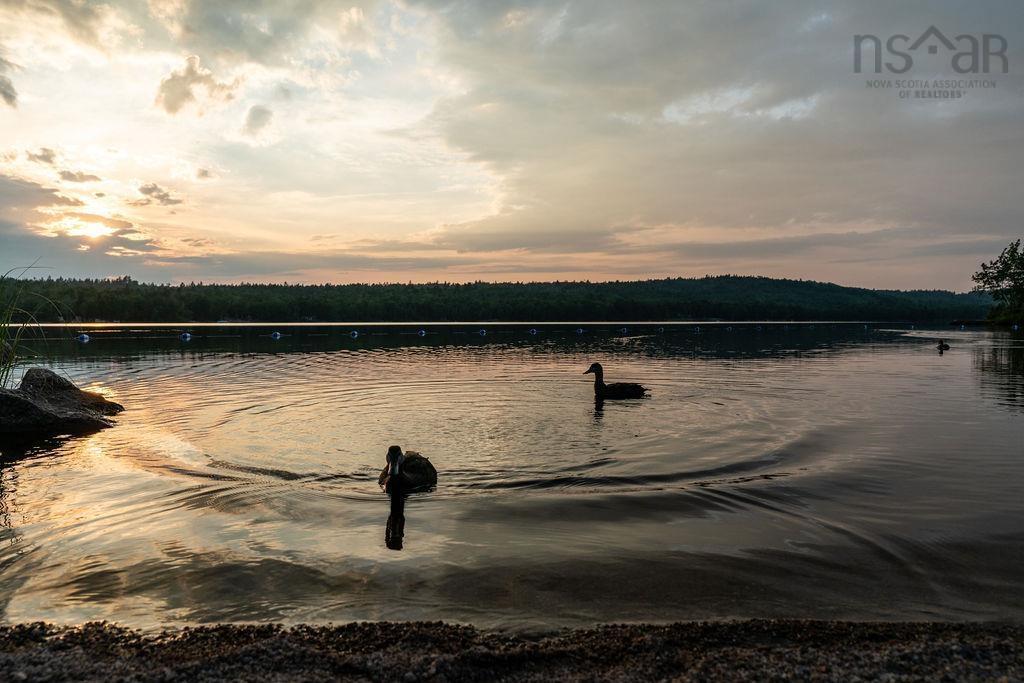 21 Phoenix Lane, Vaughan, NS