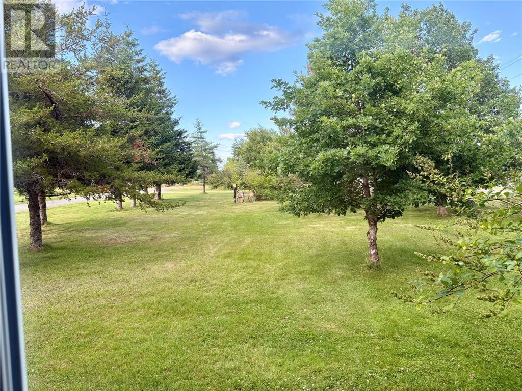 Parklike setting - 15 Squires Road, Eastport, NL - Outdoor With View