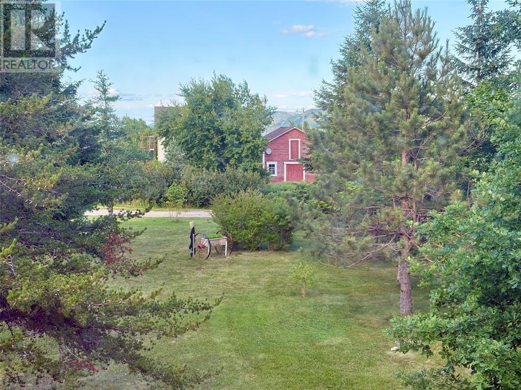 Parklike setting. Note Neighbours Red Barn is on the neighbours land - 15 Squires Road, Eastport, NL - Outdoor