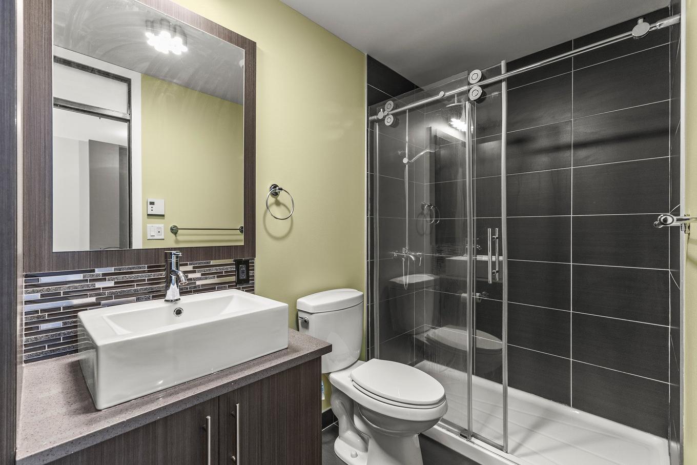 Bathroom - 203-440 19E Avenue, Montréal (Lachine), QC - Indoor Photo Showing Bathroom