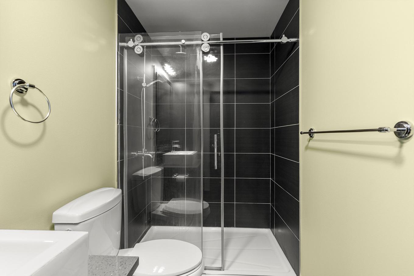 Bathroom - 203-440 19E Avenue, Montréal (Lachine), QC - Indoor Photo Showing Bathroom