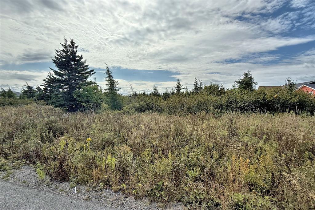2 Whitney Street, Bay Roberts, NL