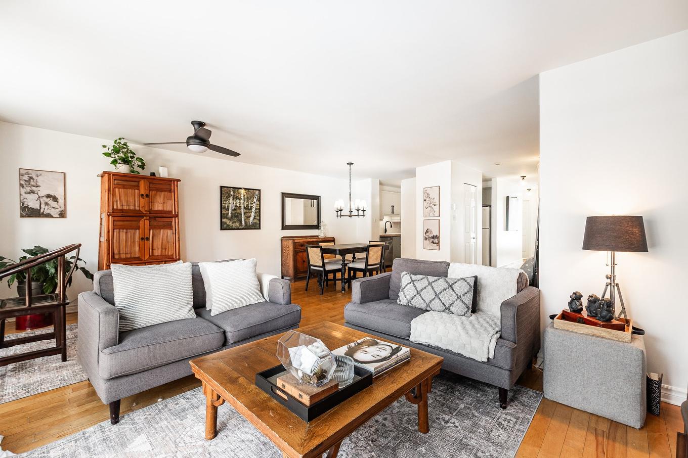 Salon - 301-2060 Av. Aird, Montréal (Mercier/Hochelaga-Maisonneuve), QC - Indoor Photo Showing Living Room