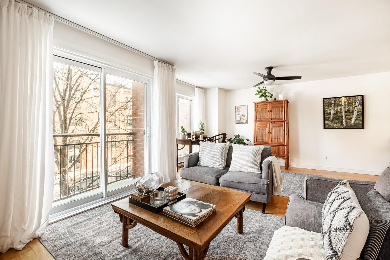 Salon - 301-2060 Av. Aird, Montréal (Mercier/Hochelaga-Maisonneuve), QC - Indoor Photo Showing Living Room