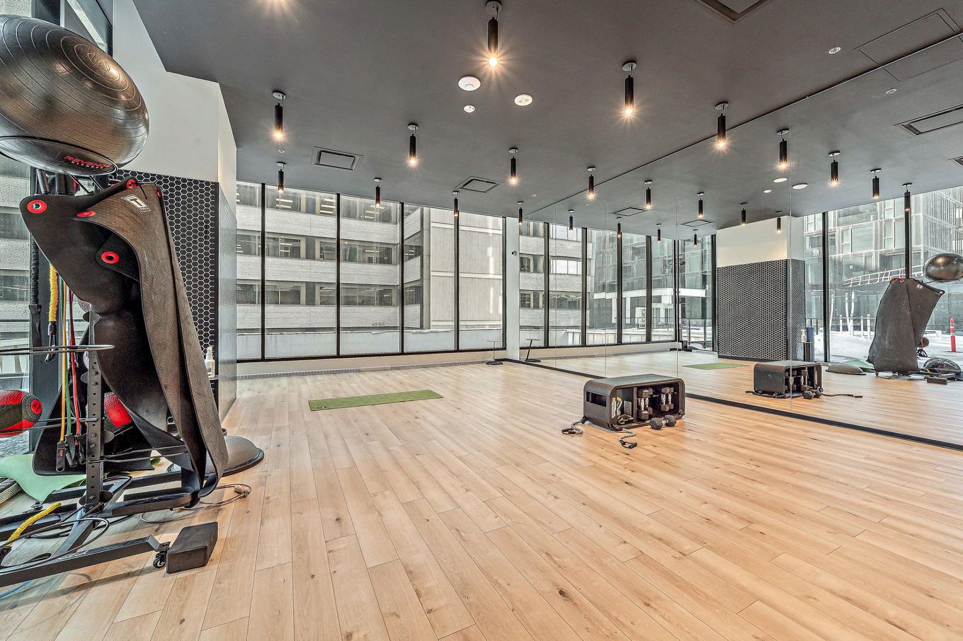 Autre - 5712-1210 Rue Jeanne-Mance, Montréal (Ville-Marie), QC - Indoor Photo Showing Gym Room