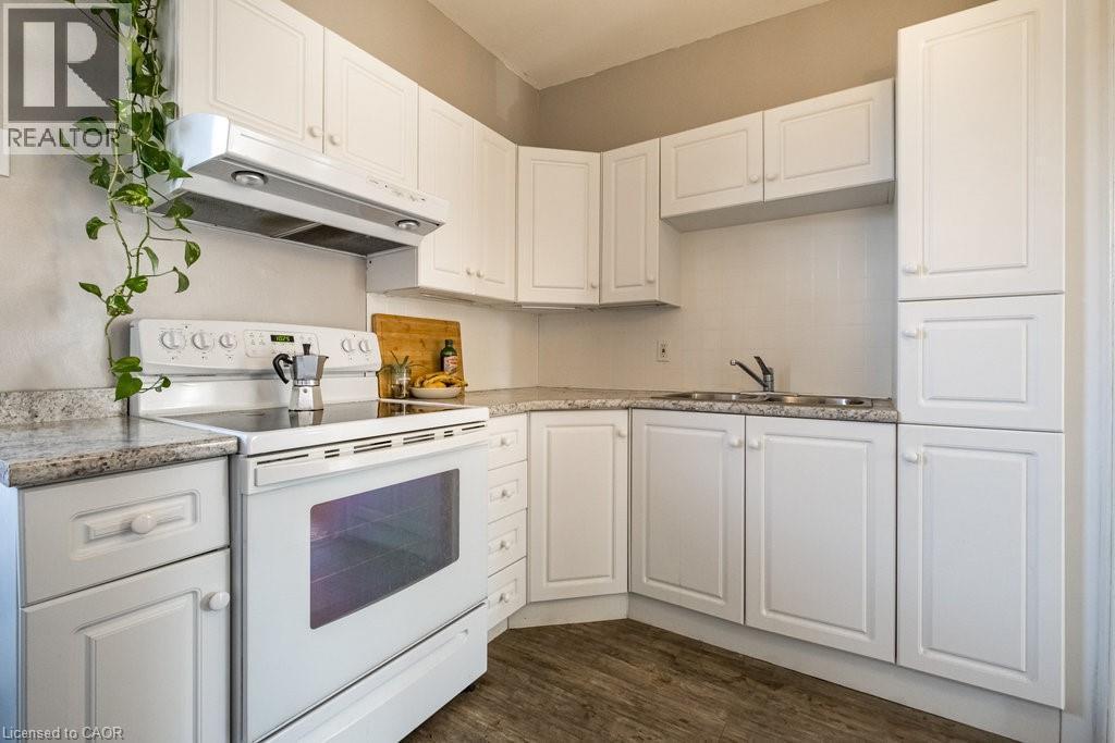 270 Queen Street S Unit# 2, Hamilton, ON - Indoor Photo Showing Kitchen With Double Sink