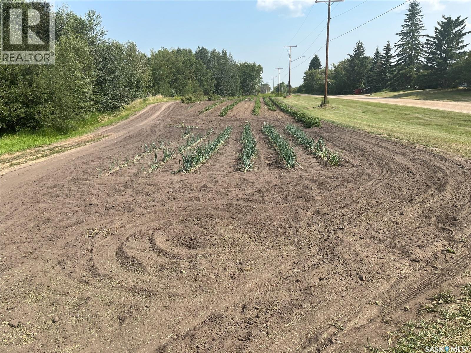 24 Railway Avenue, Meota Rm No.468, SK - Outdoor With View