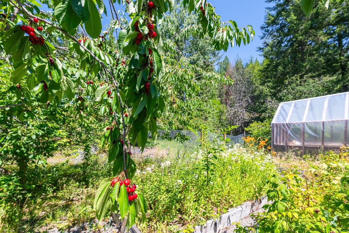 1270 Fox Tree Road, Lister, BC - Outdoor