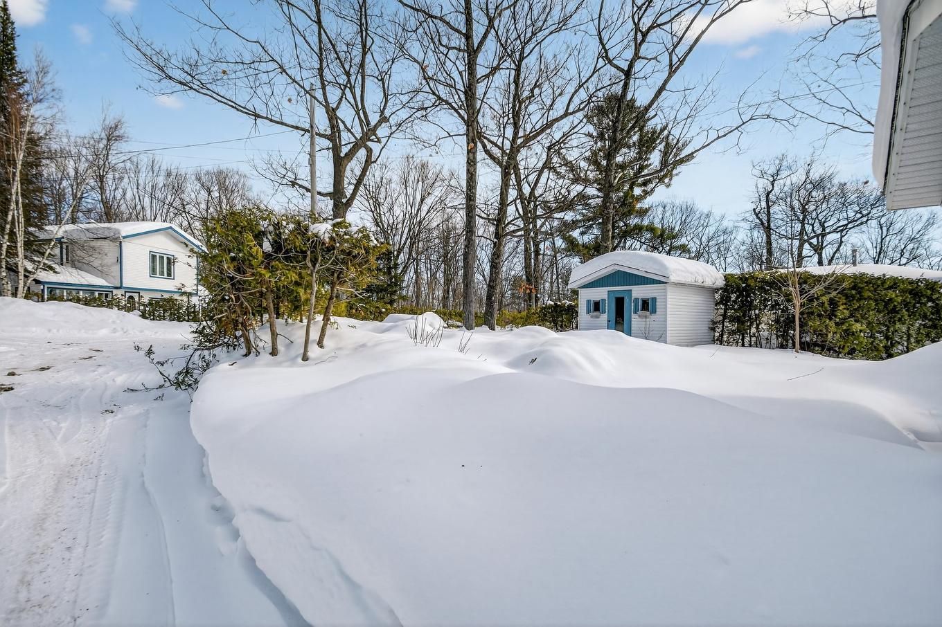 Cour - 14 60E Avenue, Saint-Hippolyte, QC - Outdoor