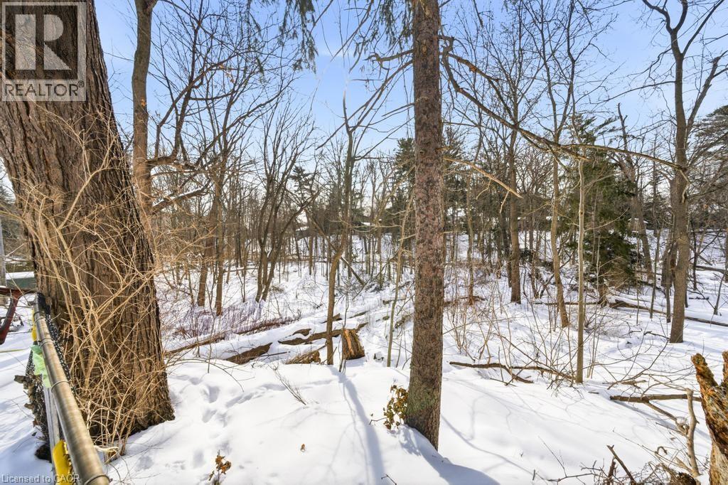 272 Goodram Drive, Burlington, ON - Outdoor With View