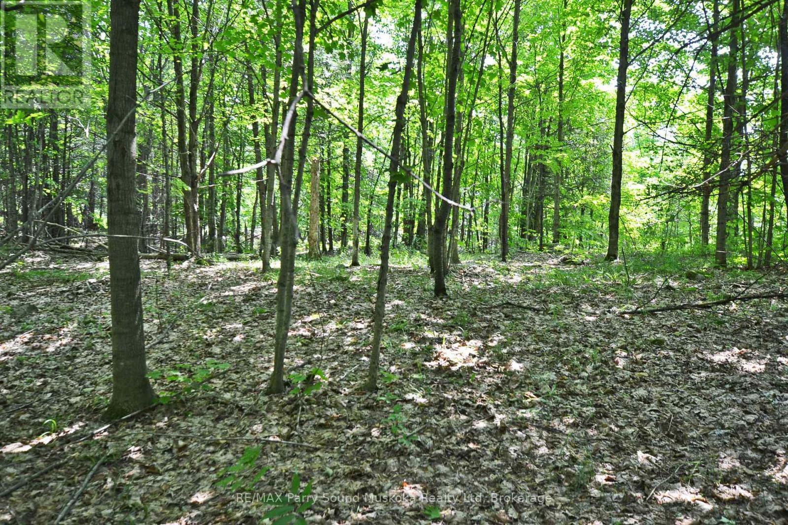 Private treed setting - 19 Turtle Lane, Mckellar, ON