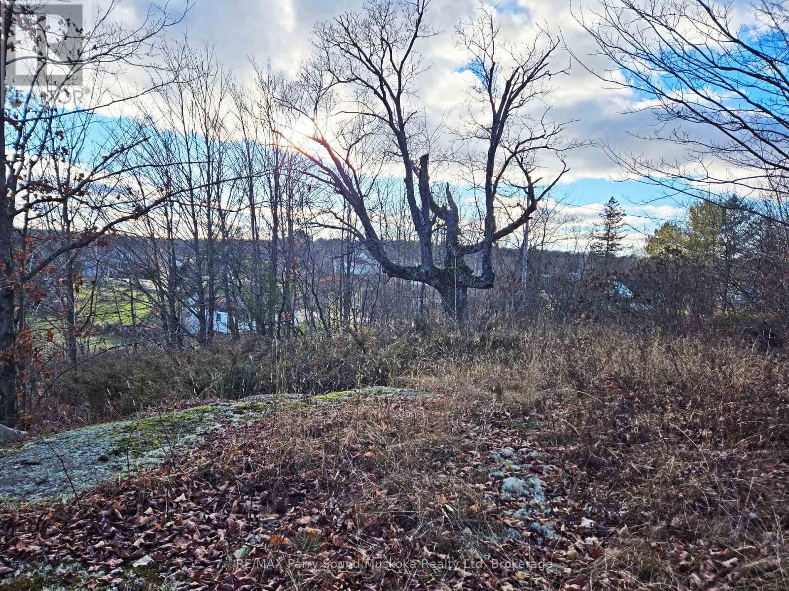 19 Turtle Lane, Mckellar, ON