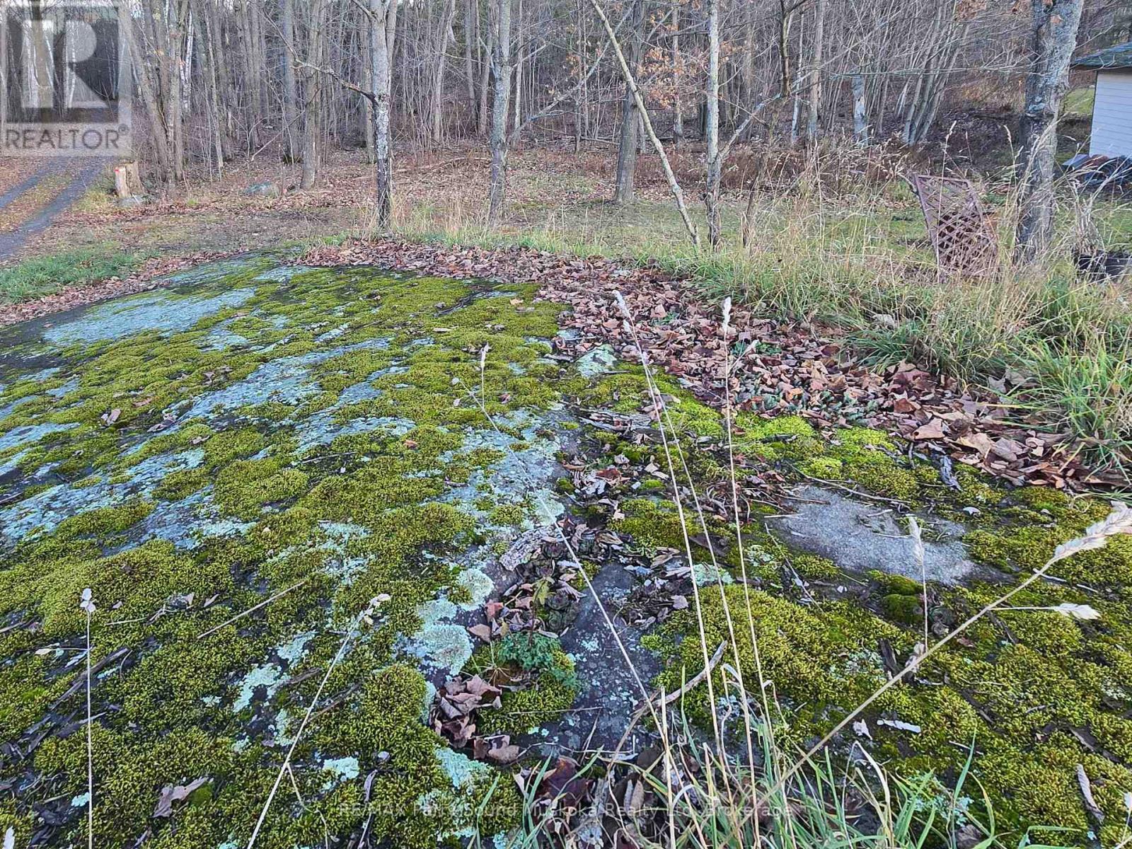 19 Turtle Lane, Mckellar, ON