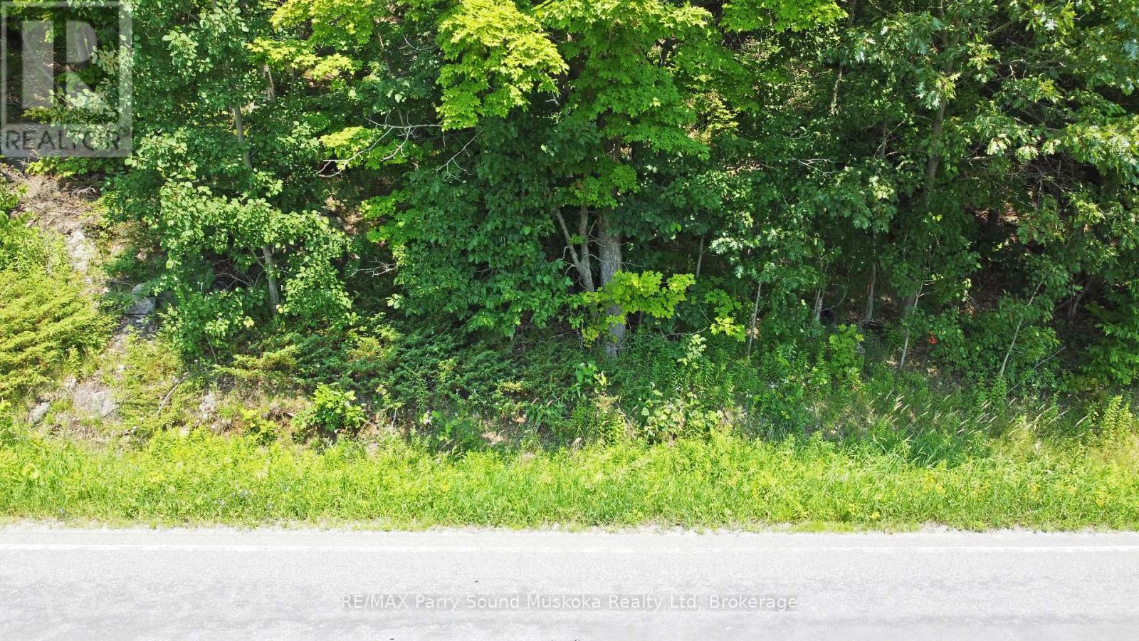 19 Turtle Lane, Mckellar, ON