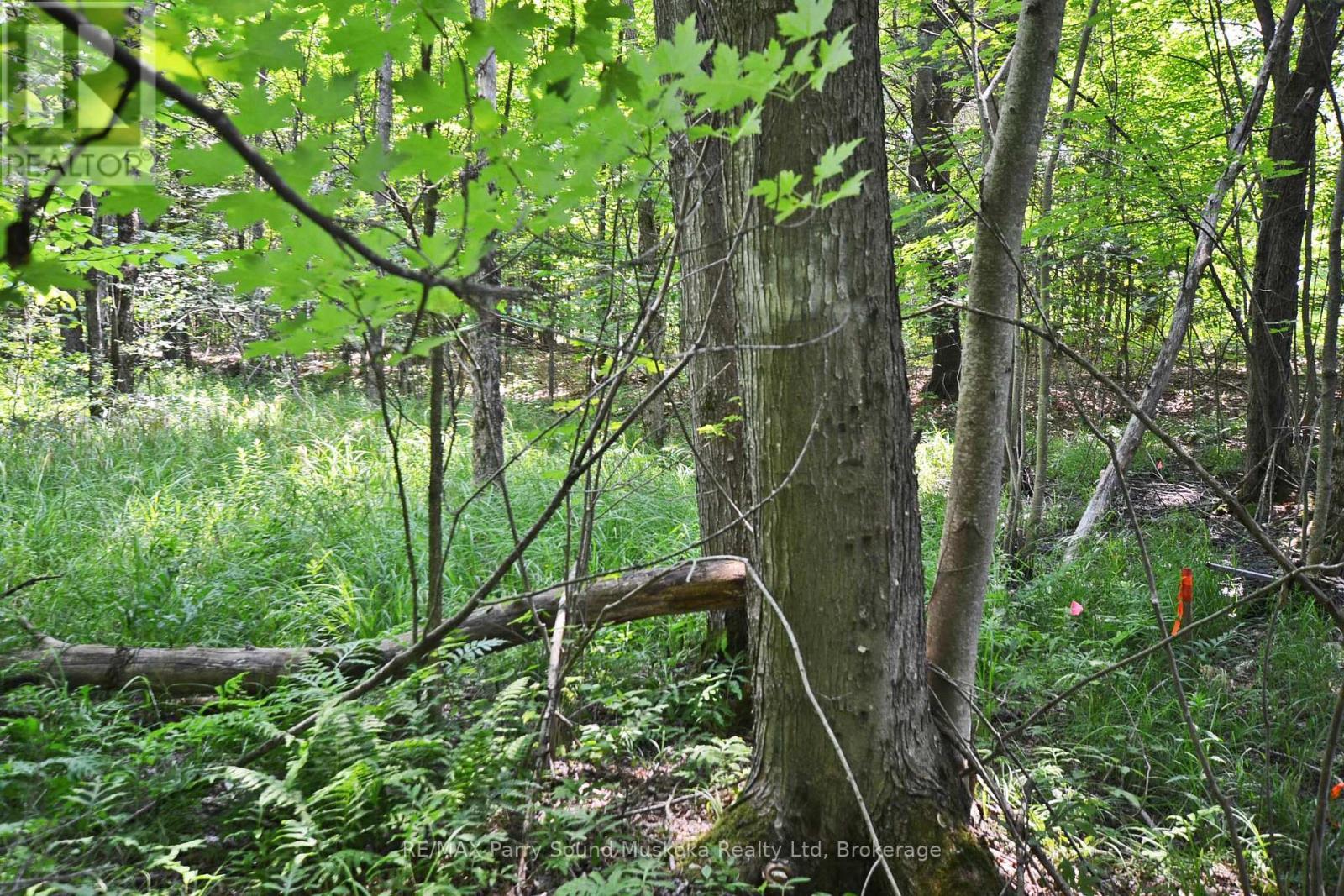 19 Turtle Lane, Mckellar, ON