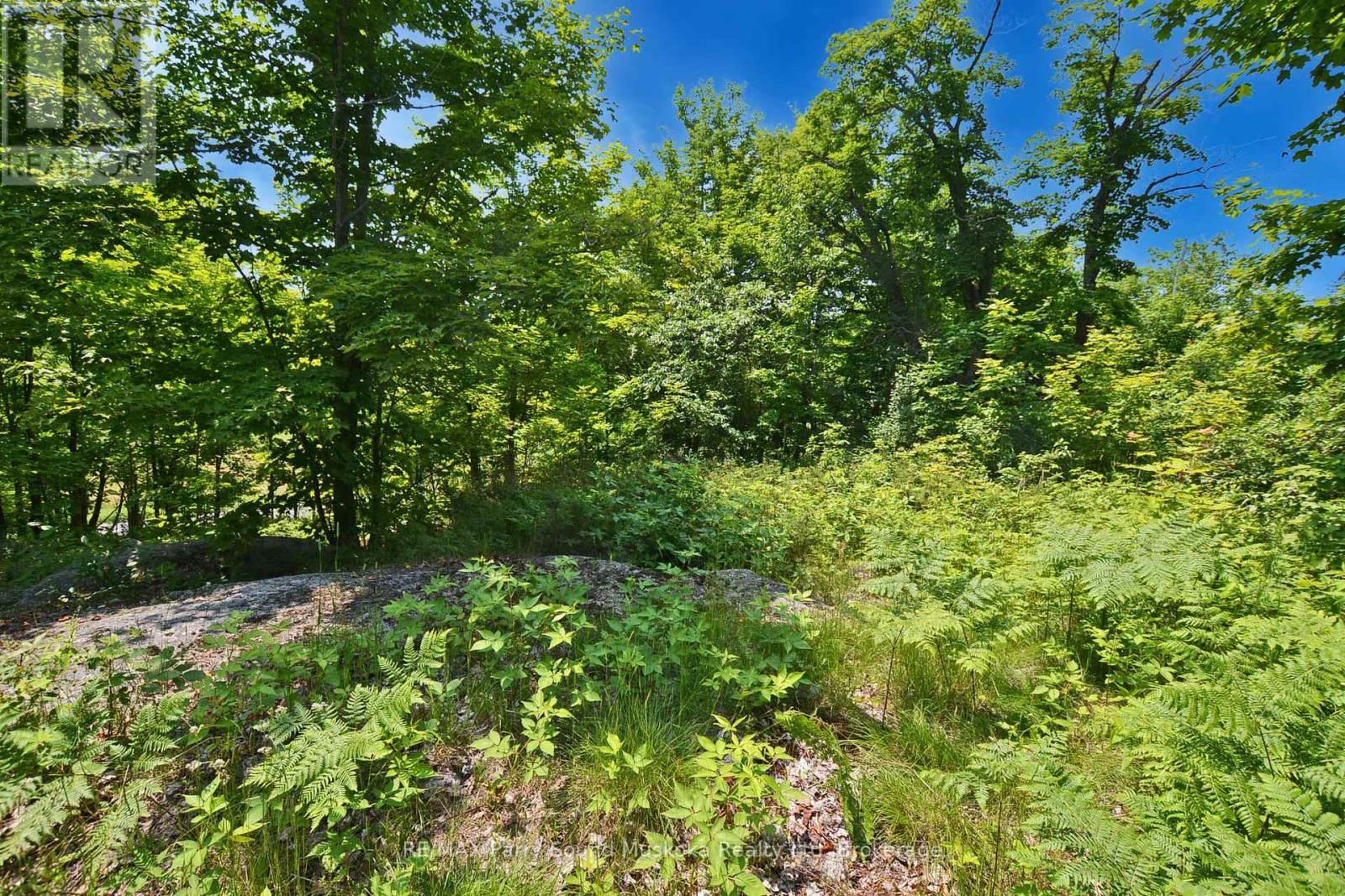 19 Turtle Lane, Mckellar, ON