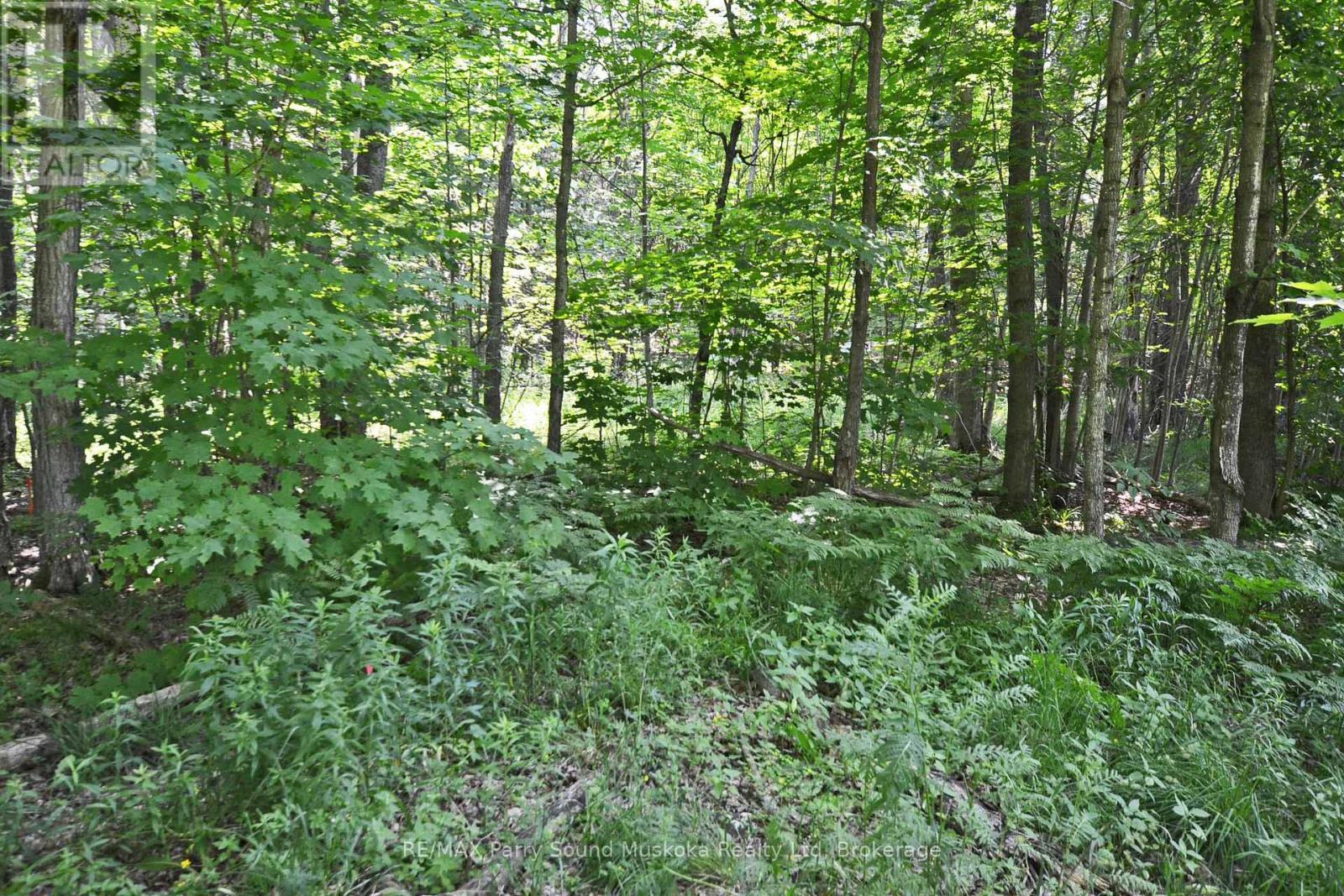 19 Turtle Lane, Parry Sound, ON