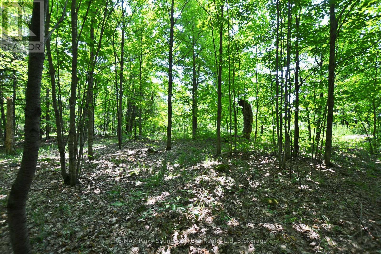 19 Turtle Lane, Parry Sound, ON