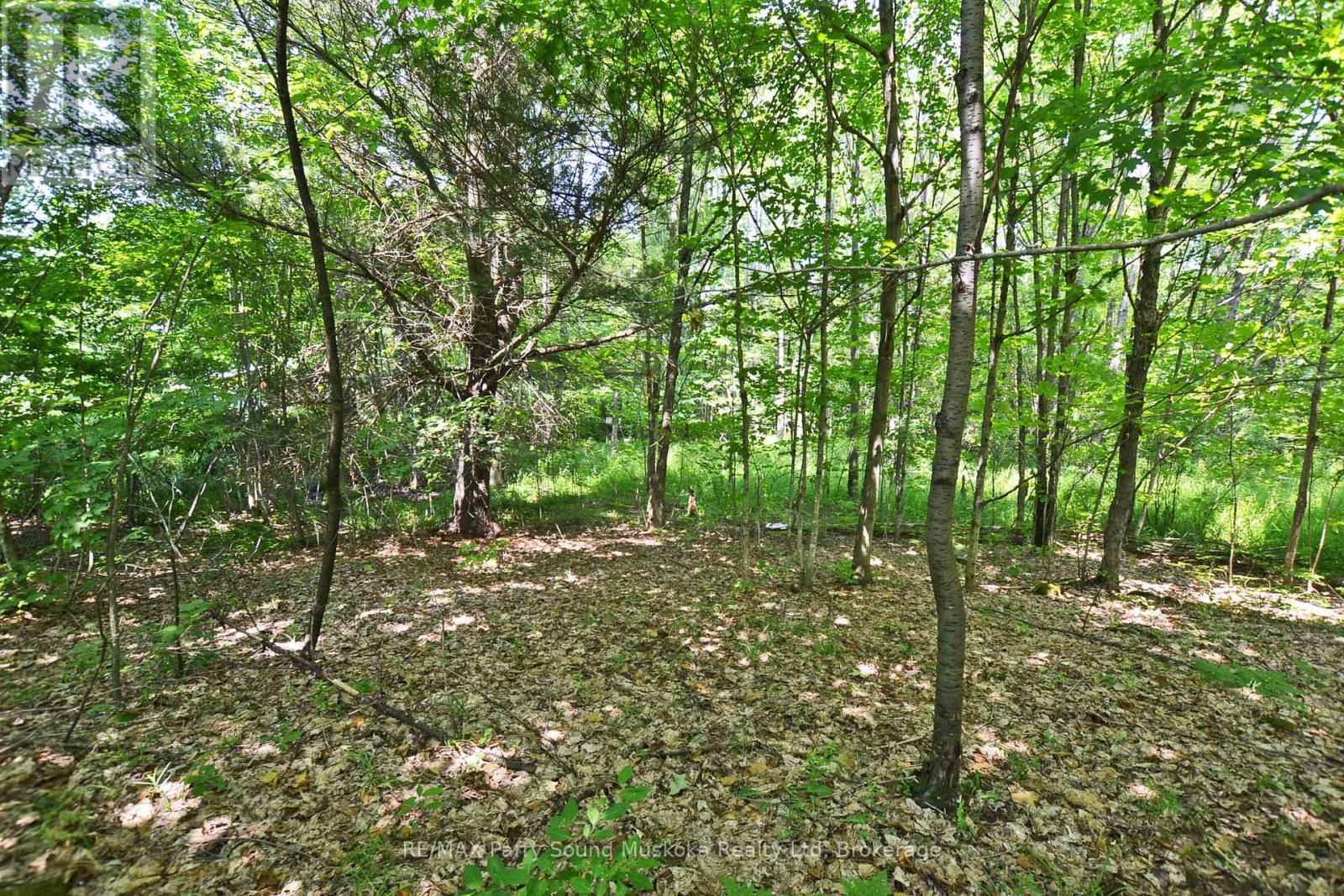 19 Turtle Lane, Parry Sound, ON