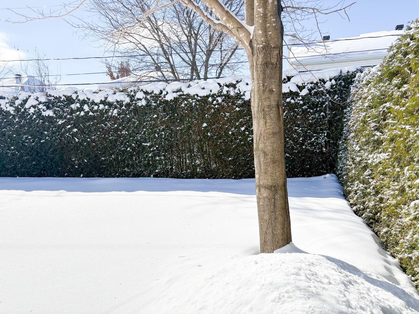 Cour - 775 Rue De La Batiscan, Drummondville, QC - Outdoor