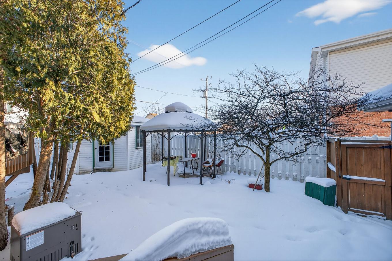 Backyard - 435 Rue Lucien-Milette, Longueuil (Saint-Hubert), QC - Outdoor