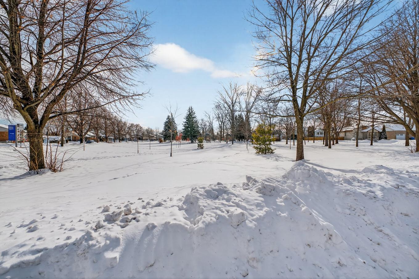 View - 435 Rue Lucien-Milette, Longueuil (Saint-Hubert), QC - Outdoor With View