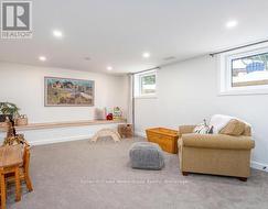 Basement family room -