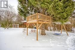 Back yard tree fort -