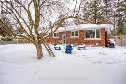 Back of house and yard -