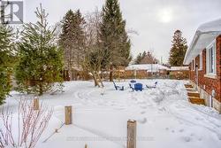 Back of house and yard -