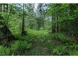 5926 Ferguson Frontage Road Malakwa, BC V0E 2J0