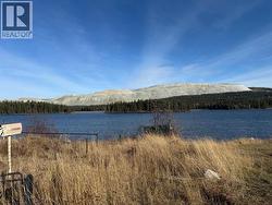 4274 RIMROCK ROAD Williams Lake, BC V0L 1P0