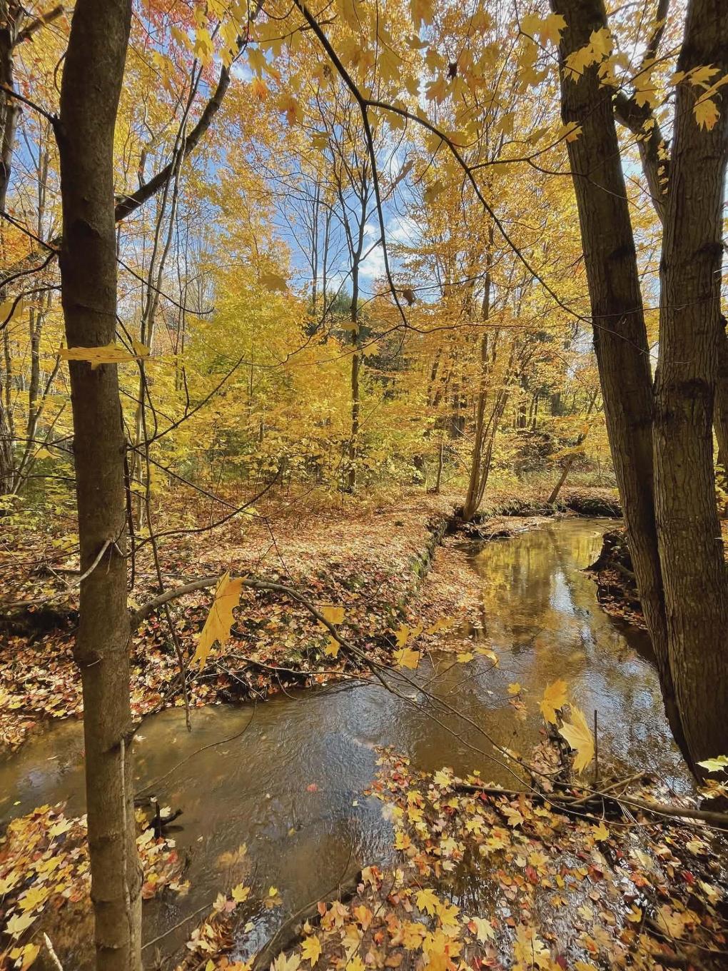 Land/Lot - 1000 Ch. Des Petites-Terres, Trois-Rivières, QC - Outdoor With View