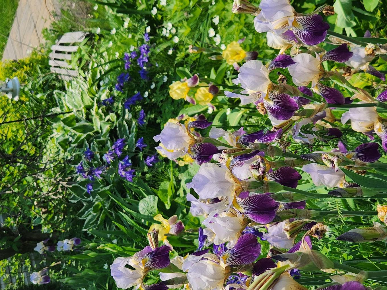 Autre - 1455 Place De Tournai, Terrebonne (Terrebonne), QC - Outdoor