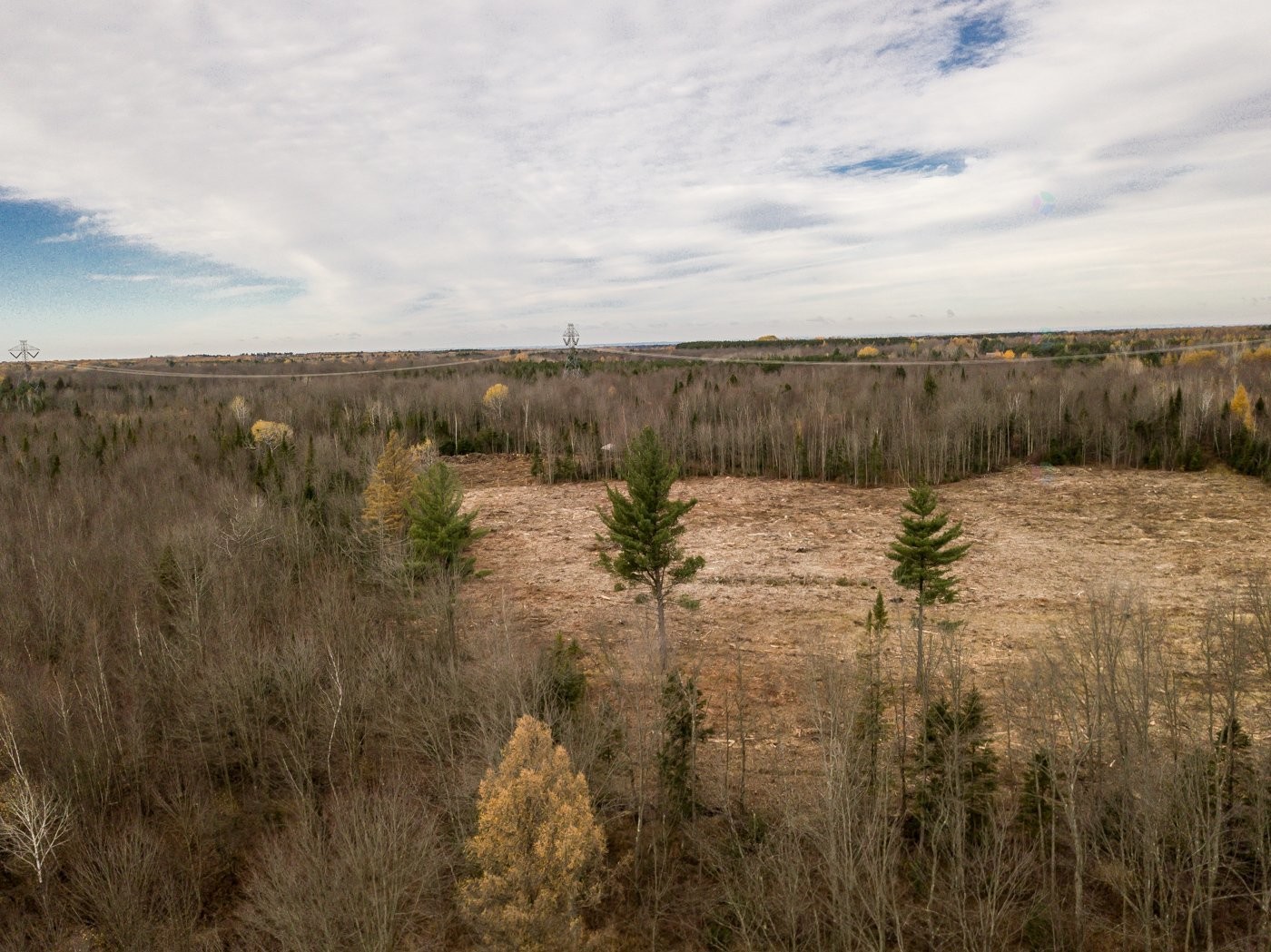 Overall view - 200 Rg Des Cyprès, Saint-Sylvère, QC - Outdoor With View