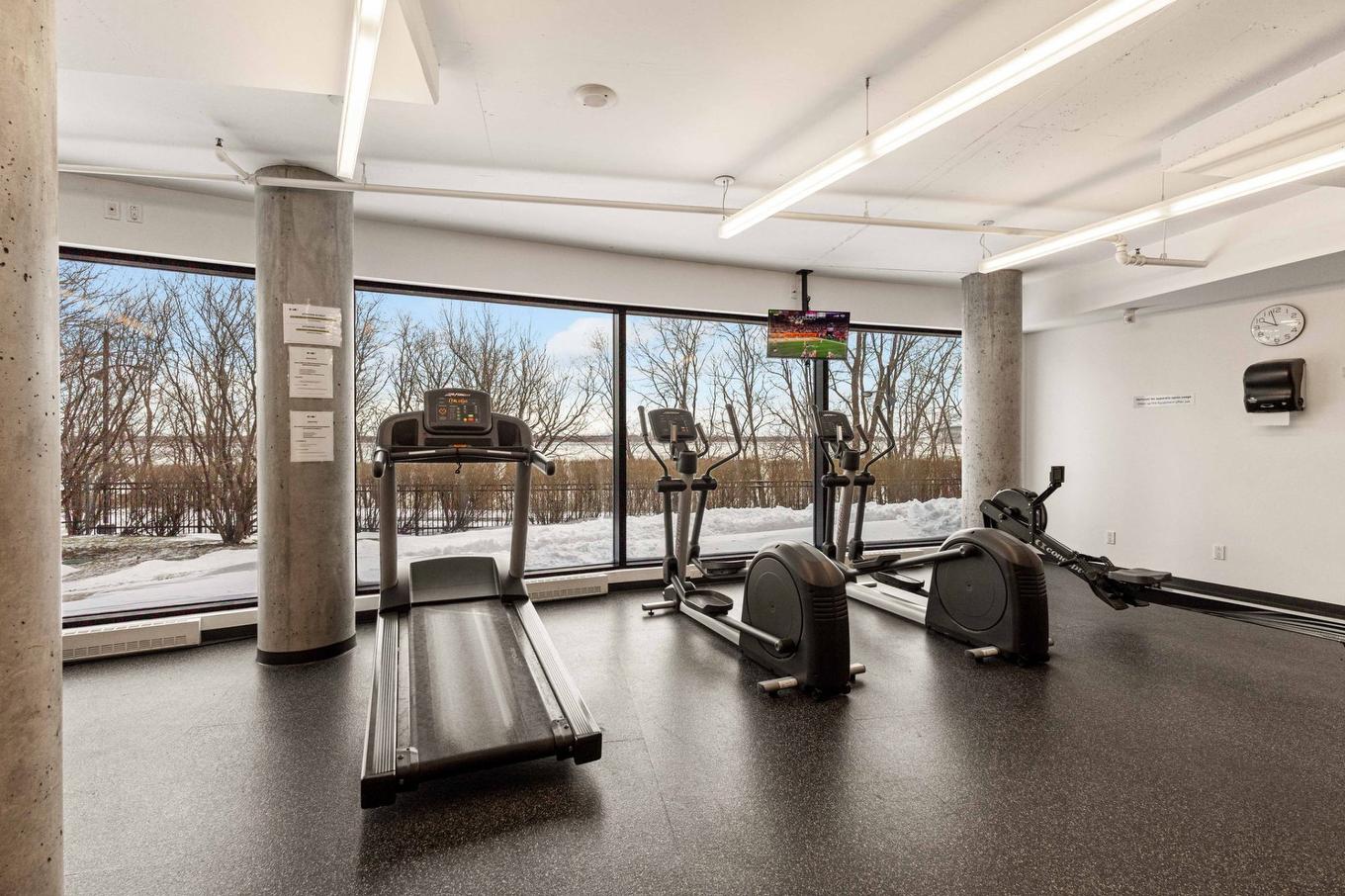 Salle d'exercice - 303-299 Rue De La Rotonde, Montréal (Verdun/Île-Des-Soeurs), QC - Indoor Photo Showing Gym Room