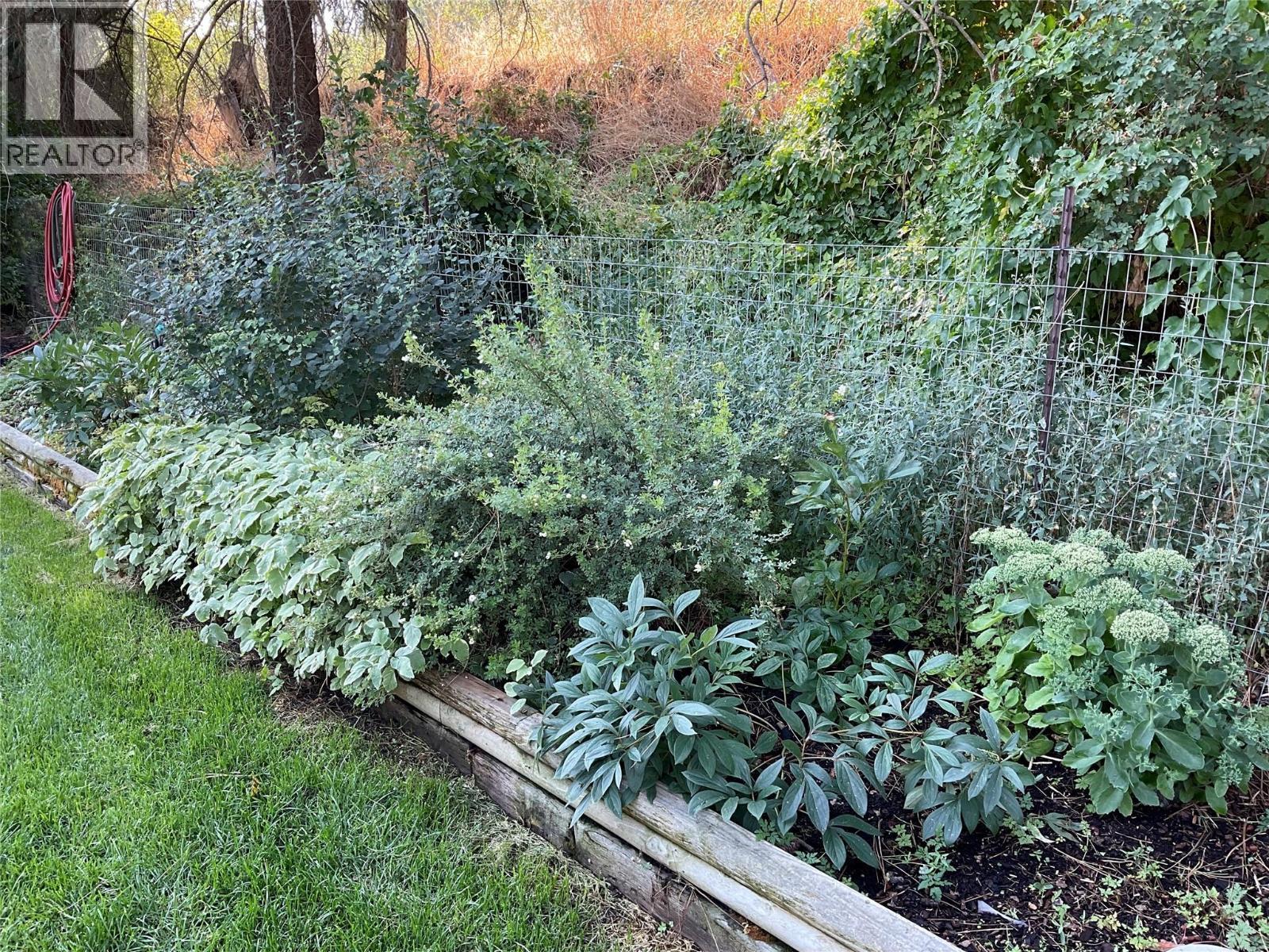 706 Central Avenue, Midway, BC - Outdoor