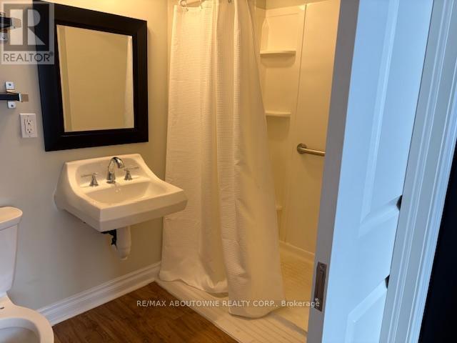 2179 Maplewood Drive, Burlington, ON - Indoor Photo Showing Bathroom