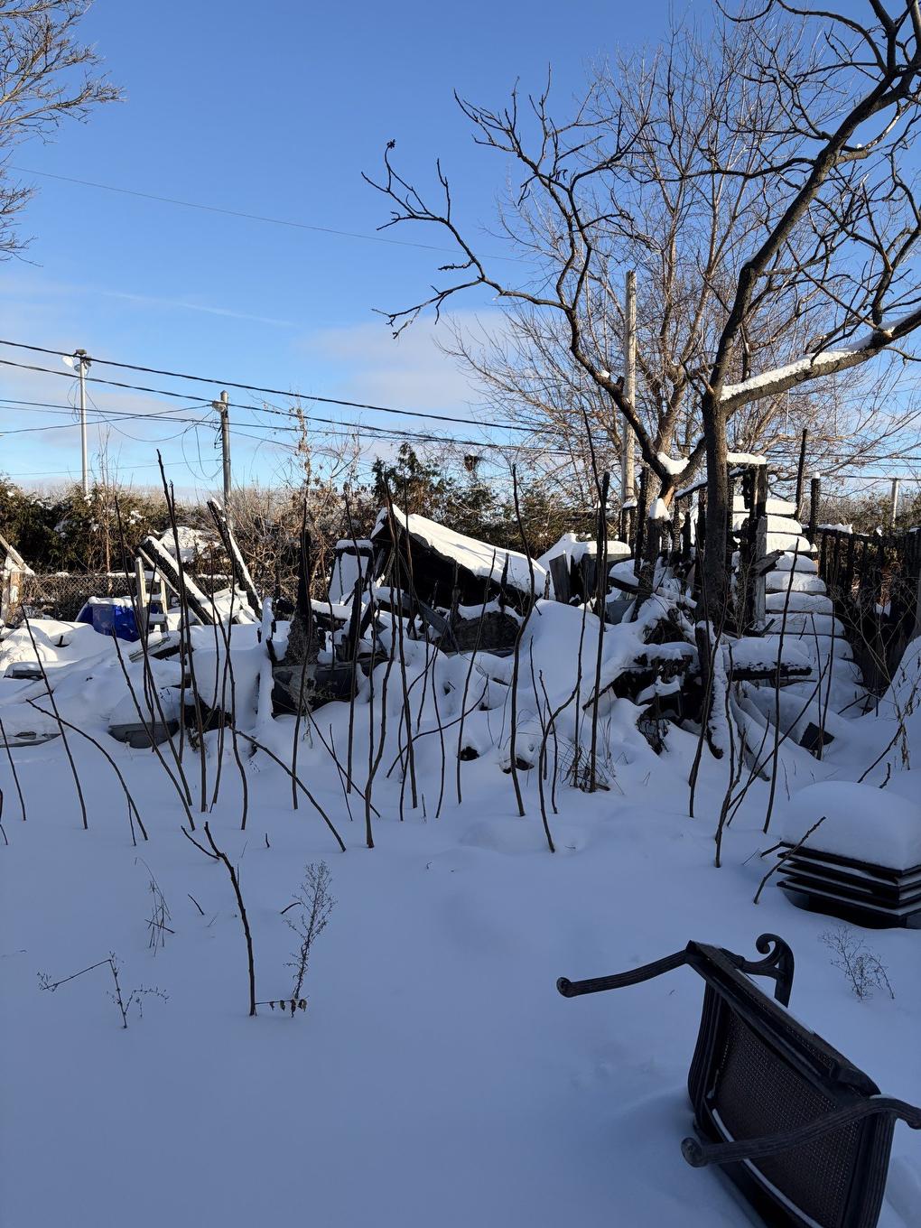 Cour - 75 Rue De La Baie, Gatineau (Gatineau), QC - Outdoor With View