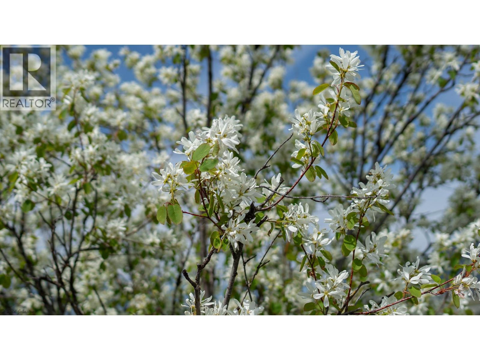 Lot C Phillips Road, Creston, BC