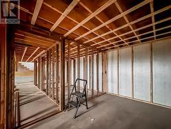 Basement Storage room or office -